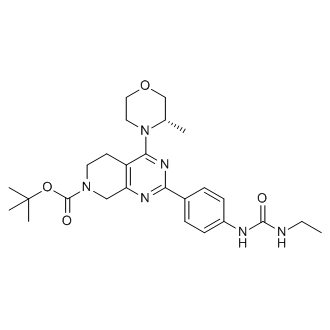 (S)-tert-butyl 2-(4-(3-ethylureido)phenyl)-4-(3-methylmorpholino)-5,6-dihydropyrido[3,4-d]pyrimidine-7(8H)-carboxylate