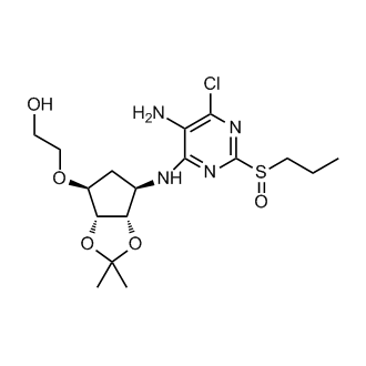 2-(((3aR,4S,6R,6aS)-6-((5-amino-6-chloro-2-(propylsulfinyl)pyrimidin-4-yl)amino)-2,2-dimethyltetrahydro-3aH-cyclopenta[d][1,3]dioxol-4-yl)oxy)ethanol