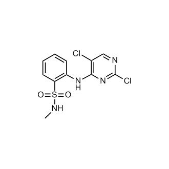 2-((2,5-Dichloropyrimidin-4-yl)amino)-N-methylbenzenesulfonamide