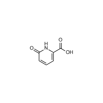 6-Oxo-1,6-dihydropyridine-2-carboxylic acid