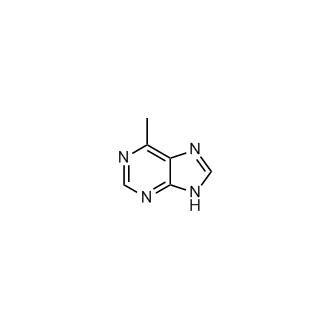 6-Methylpurine