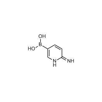 (6-Aminopyridin-3-yl)boronic acid