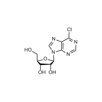 Chloropurine riboside