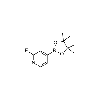 2-Fluoro-4-(4,4,5,5-tetramethyl-1,3,2-dioxaborolan-2-yl)pyridine