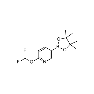 2-(Difluoromethoxy)-5-(4,4,5,5-tetramethyl-1,3,2-dioxaborolan-2-yl)pyridine