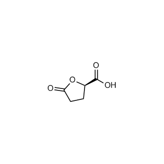 (R)-5-Oxotetrahydrofuran-2-carboxylic acid