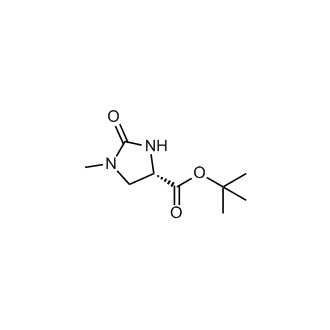 (S)-tert-Butyl 1-methyl-2-oxoimidazolidine-4-carboxylate