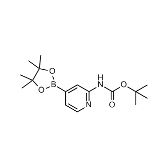 tert-Butyl (4-(4,4,5,5-tetramethyl-1,3,2-dioxaborolan-2-yl)pyridin-2-yl)carbamate