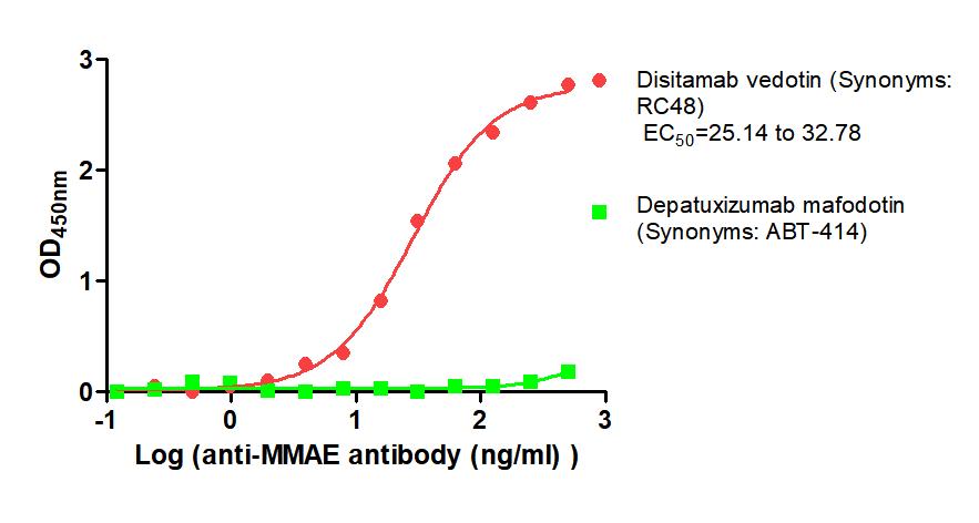 MMAE Monoclonal Antibody