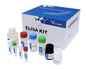 Mouse thrombospondin 1,TSP-1 ELISA Kit