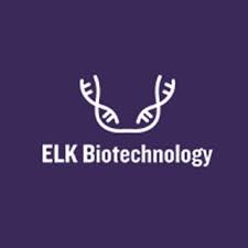 Human MUC13(Mucin 13, Cell Surface Associated) ELISA Kit