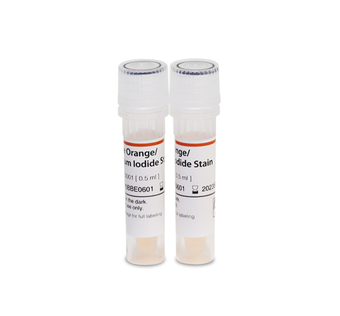 Acridine Orange/Propidium Iodide Stain