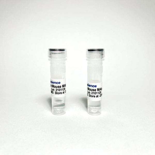 Anti-Mouse PD-L1 Rat Monoclonal Antibody (TBS10251) - 1 MG