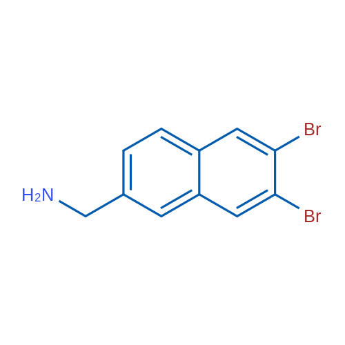 (6,7-Dibromonaphthalen-2-yl)methanamine 1g
