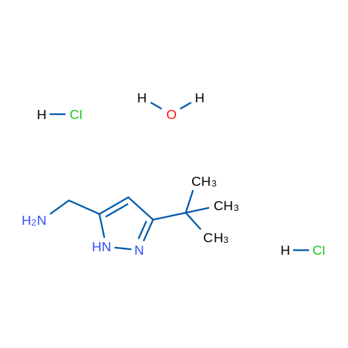 (3-(tert-Butyl)-1H-pyrazol-5-yl)methanamine dihydrochloride hydrate 5g