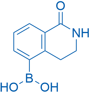 (1-Oxo-1,2,3,4-tetrahydroisoquinolin-5-yl)boronic acid 1g
