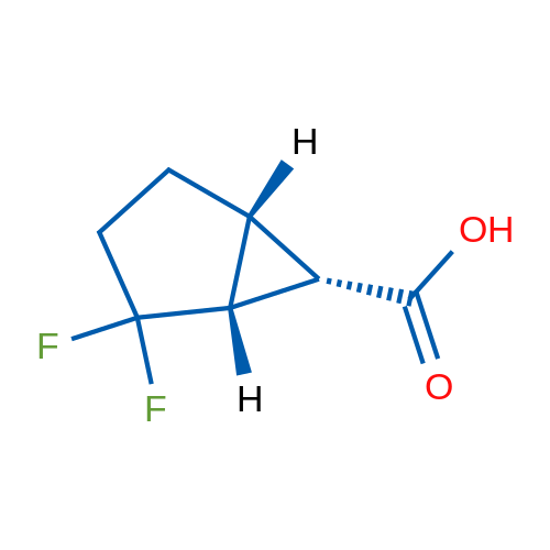 (1R,5R,6S)-rel-2,2-Difluorobicyclo[3.1.0]hexane-6-carboxylic acid 1g