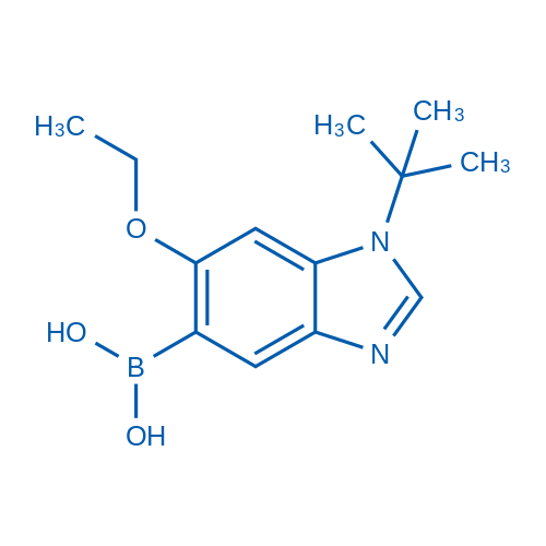 (1-(tert-Butyl)-6-ethoxy-1H-benzo[d]imidazol-5-yl)boronic acid 1g