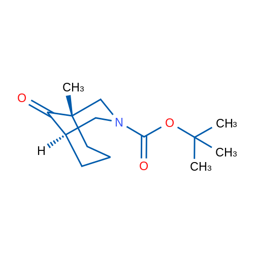 1-METHYL-9-OXO-3-AZA-BICYCLO[3.3.1]NONANE-3-CARBOXYLIC ACID TERT-BUTYL ESTER 1g