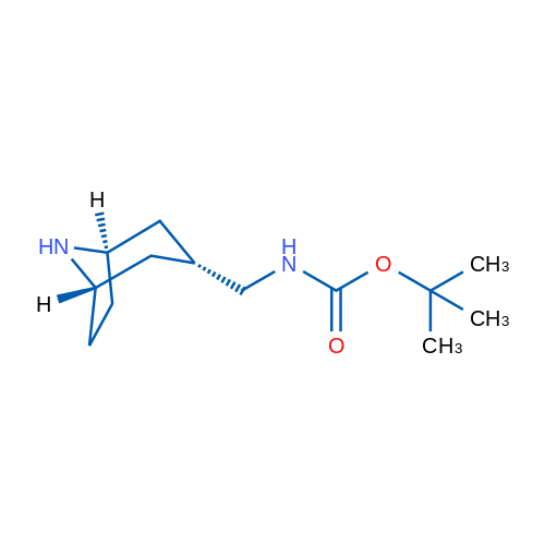 TERT-BUTYL (((1R,3R,5S)-8-AZABICYCLO[3.2.1]OCTAN-3-YL)METHYL)CARBAMATE 1g