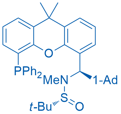 (R)-N-((R)-Adamantan-1-yl(5-(diphenylphosphanyl)-9,9-dimethyl-9H-xanthen-4-yl)methyl)-N,2-dimethylpropane-2-sulfinamide 100mg