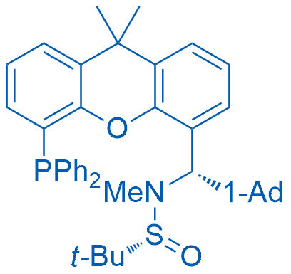 (R)-N-((S)-Adamantan-1-yl(5-(diphenylphosphanyl)-9,9-dimethyl-9H-xanthen-4-yl)methyl)-N,2-dimethylpropane-2-sulfinamide 100mg