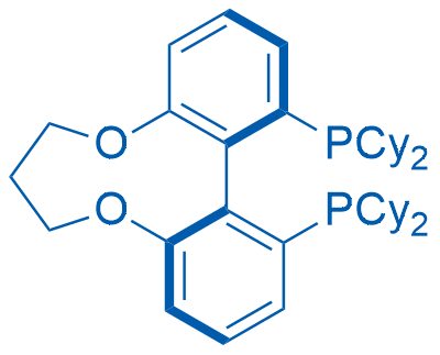 (R)-1,13-Bis(dicyclohexylphosphino)-7,8-dihydro-6H-dibenzo[f,h][1,5]dioxonine 50mg
