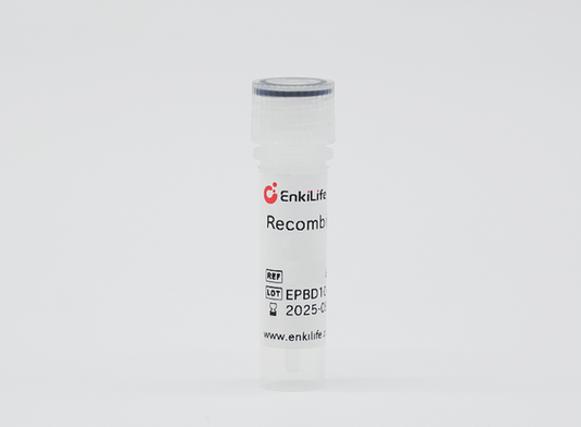 Recombinant Fish bFGF/FGF-2