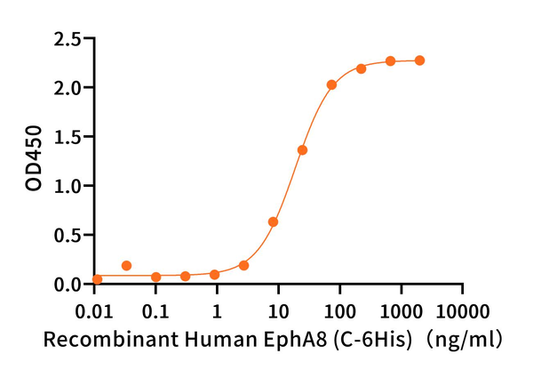 Recombinant Human EFNA5 (C-Fc)