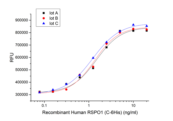 Recombinant Human RSPO1 (C-6His)