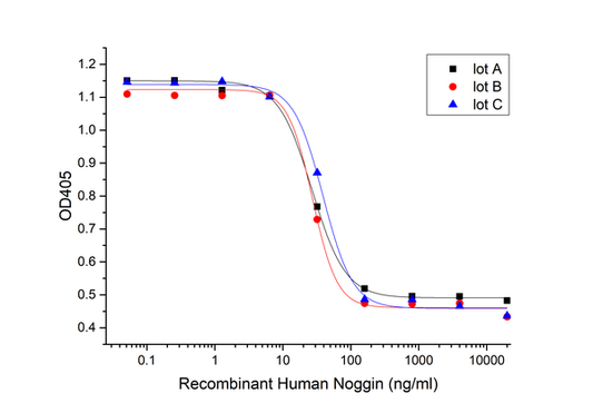 Recombinant Human Noggin