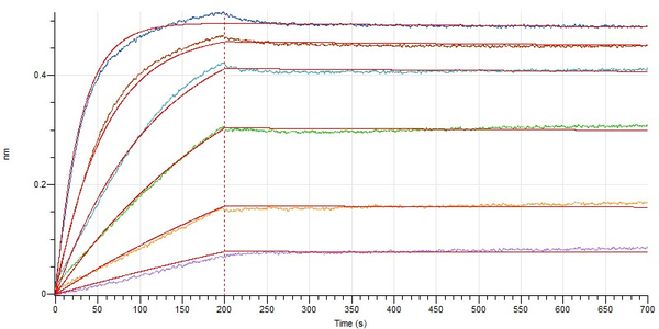 Recombinant Human CD47 (C-mFc)
