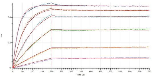 Recombinant Human CD47 (C-mFc)