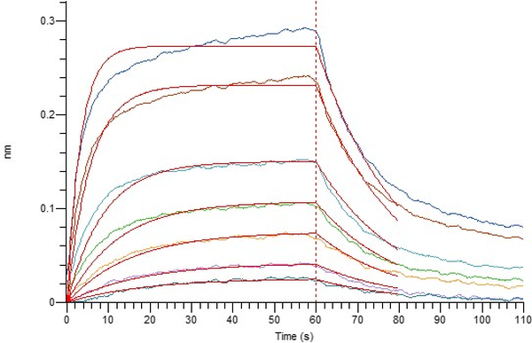 Recombinant Human CD40 (C-mFc)