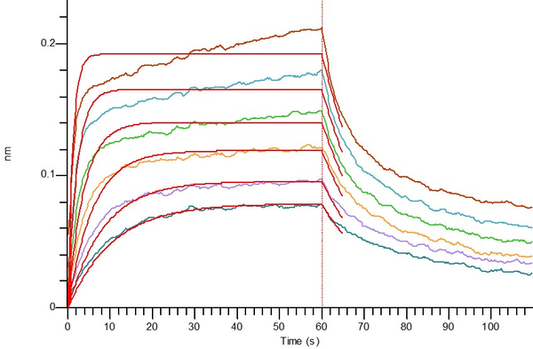 Recombinant Human PVR (C-mFc)