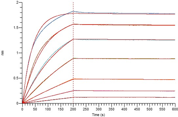 Recombinant Human CD64 (C-6His)
