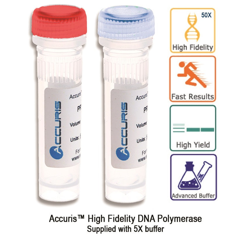 Accuris High Fidelity DNA Polymerase, 200 units