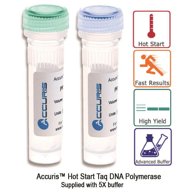 Accuris Hot Start Taq, 1000 units
