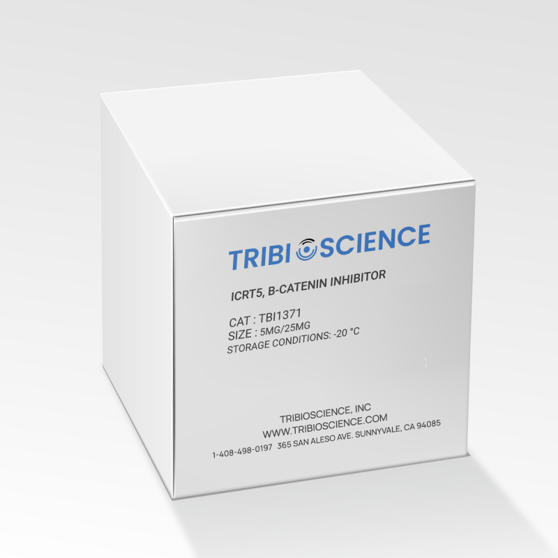 iCRT5, b-catenin inhibitor