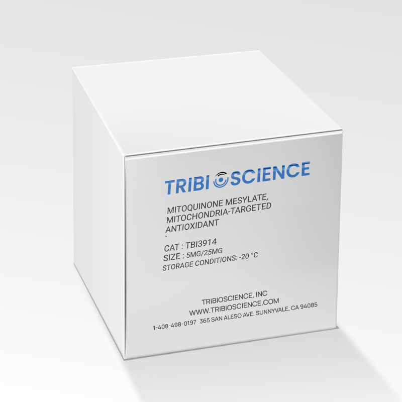 Mitoquinone mesylate, Mitochondria-targeted antioxidant