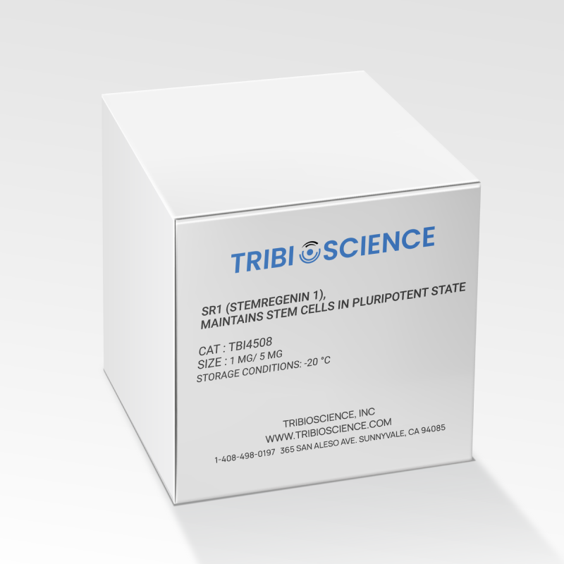 SR1 (Stemregenin 1), Maintains stem cells in pluripotent state
