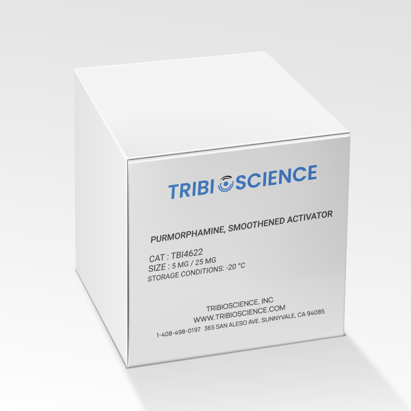 Purmorphamine, Smoothened activator