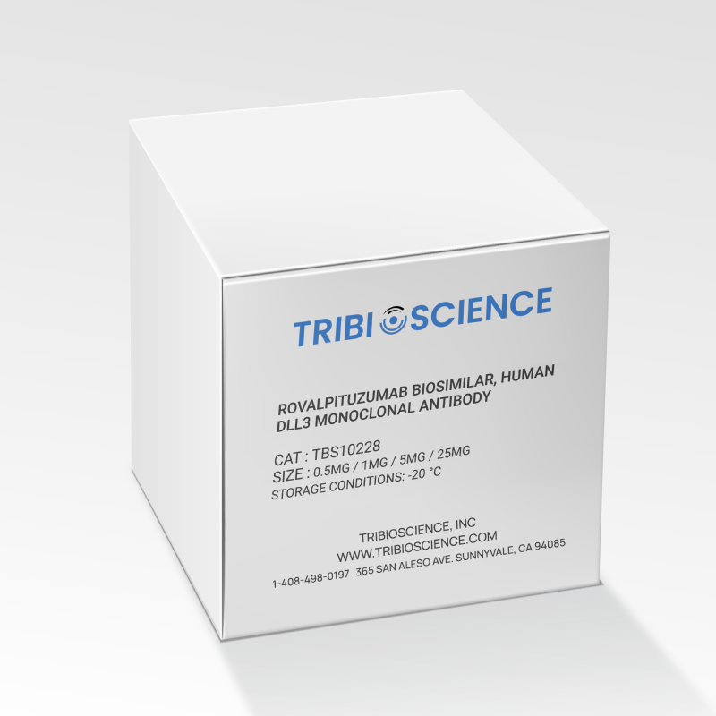 Rovalpituzumab Biosimilar, Human DLL3 Monoclonal Antibody