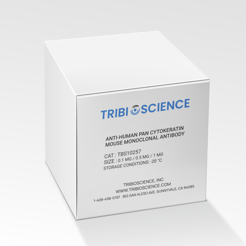 Anti-Human Pan Cytokeratin Mouse Monoclonal Antibody (TBS10257) - 0.5 MG