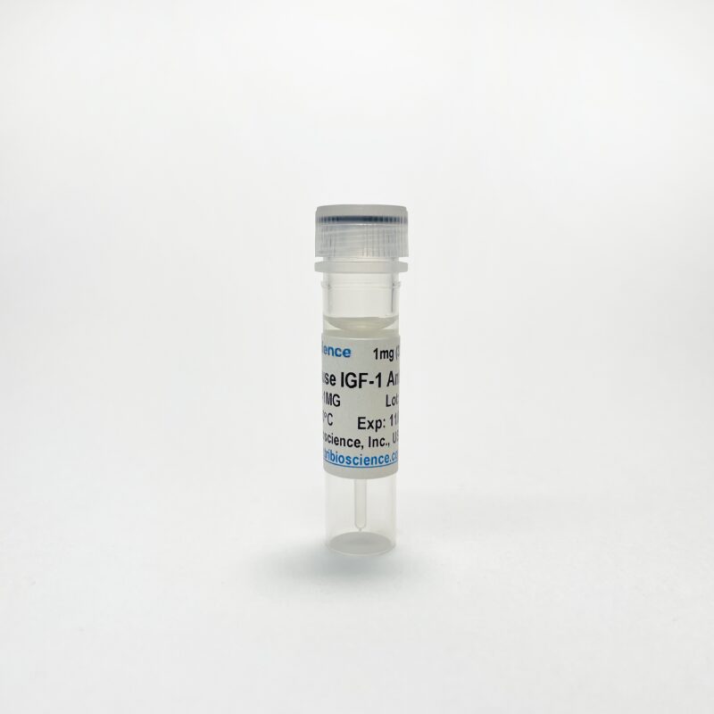 Anti-Mouse IGF-1 Monoclonal Antibody (TBS10303) - 5 MG
