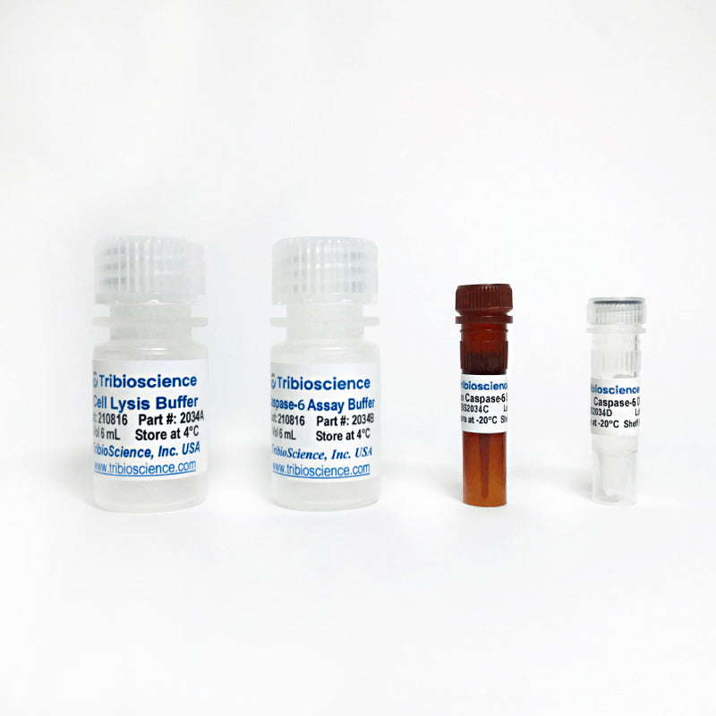 Caspase-6 Fluorometric Assay Kit
