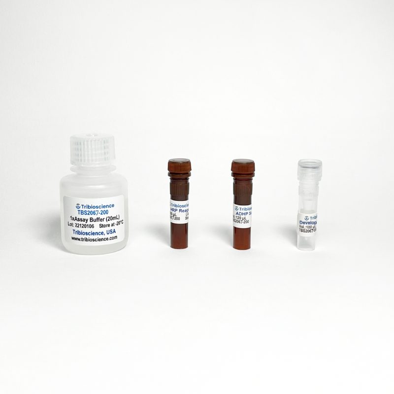 Horseradish Peroxidase Activity