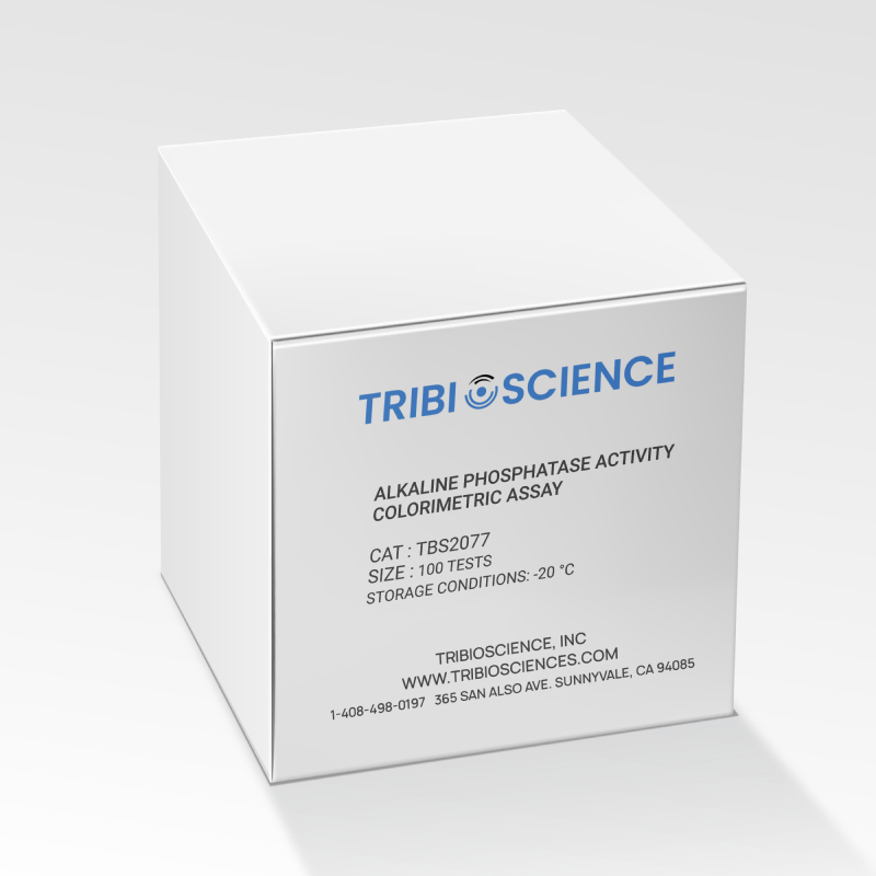 Alkaline Phosphatase Activity Colorimetric Assay Kit