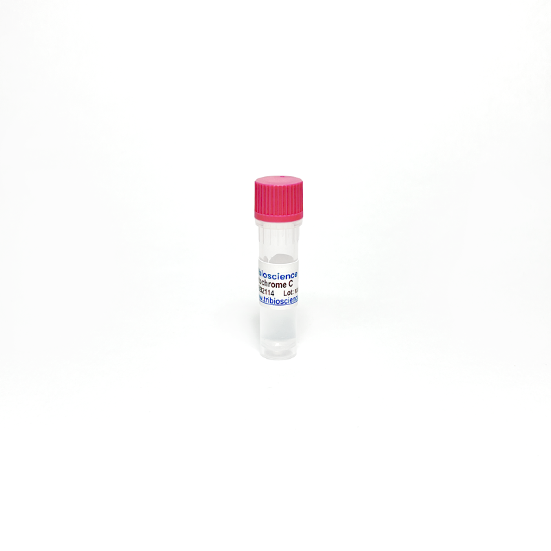 Cytochrome C Reductase from Porcine Heart