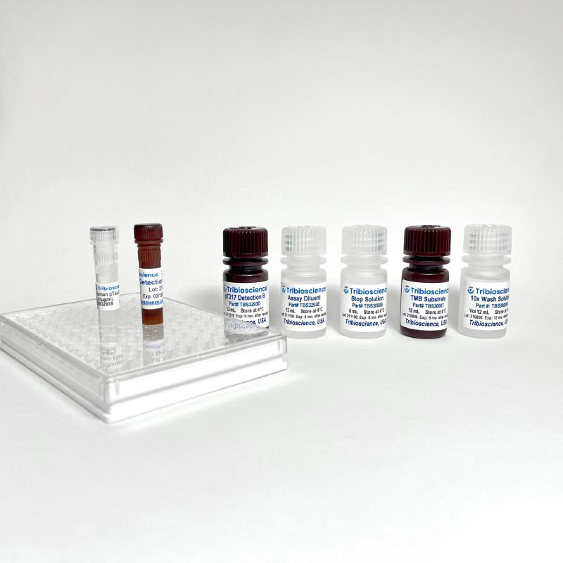 Fast Human Phospho Tau Thr217(pT217) ELISA